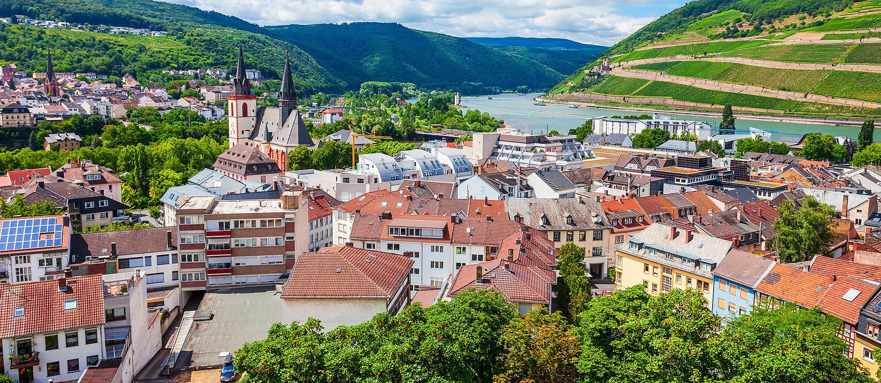 Blick über die Altstadt von Bingen am Rhein auf Rhein und Weinberge